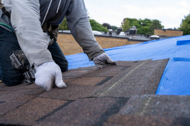 Best Storm Damage Roof Repair  in Vail, AZ